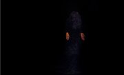 thumb 1979 1024x640